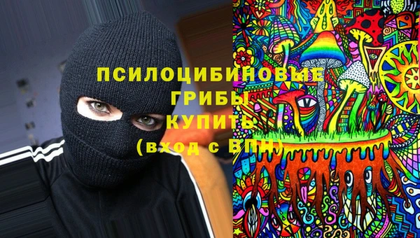 mdpv Богданович