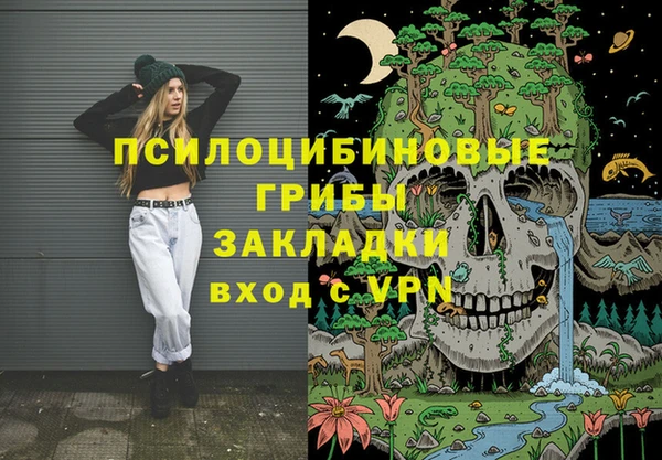 mdpv Богданович