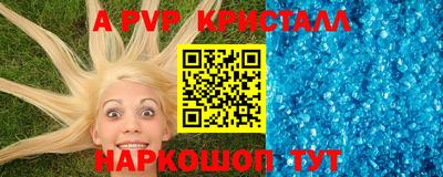 крисы Беслан