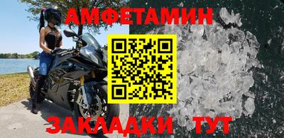 стаф Гатчина