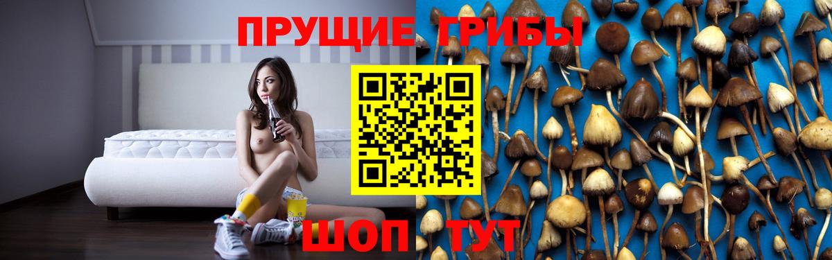 Воскресенск  Псилоцибиновые грибы мухоморы  Вход с VPN 
